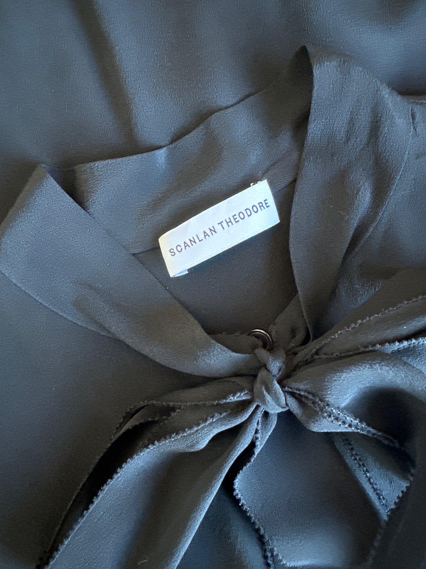 Scanlan Theodore | top | size 8 | long sleeve | 100% silk