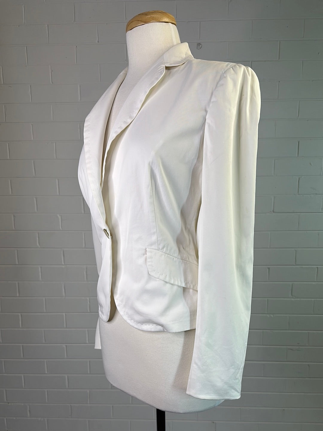 Max Mara | Italy | jacket | size 10 | single breasted | made in Italy